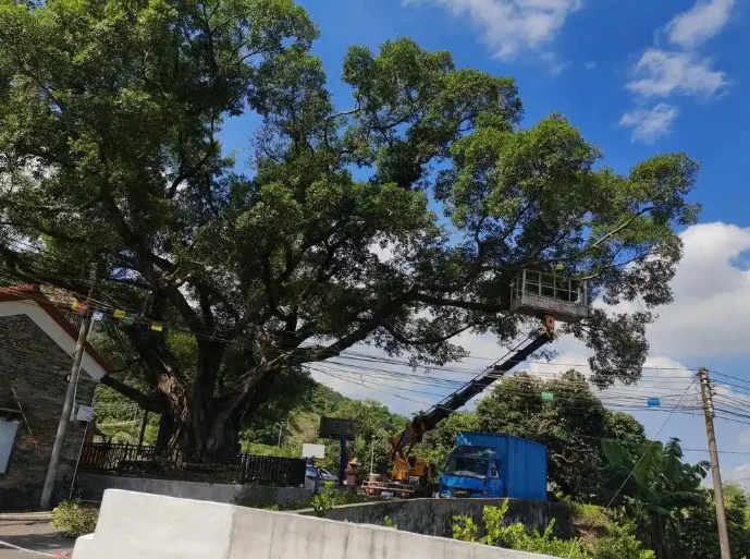 加强环卫保洁、树木修剪加固、广告招牌排查，白云城管全力应对超强台风“桦加沙”