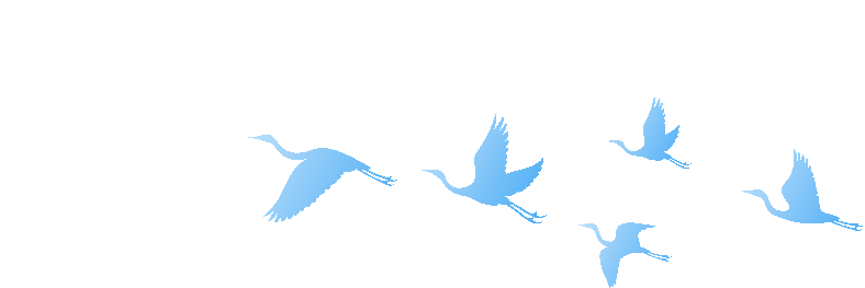 40万元现金1小时内归还失主……这些暖新闻都是环卫人眼中的“分内事”